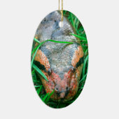 Anaconda snake keramisch ornament (Rechts)