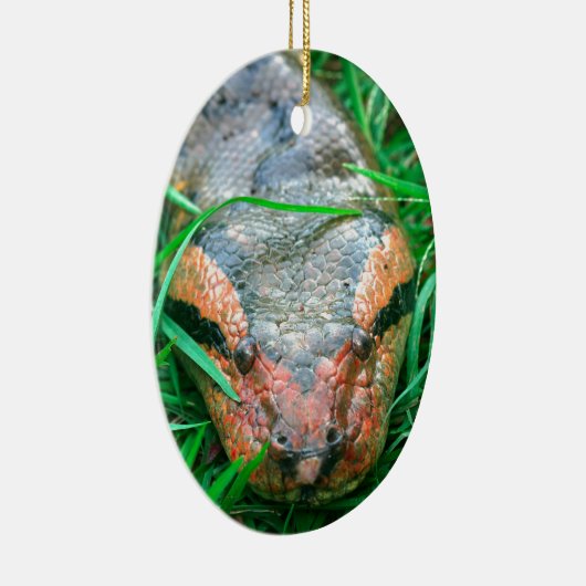 Anaconda snake keramisch ornament (Rechts)