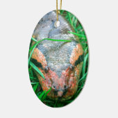 Anaconda snake keramisch ornament (Links)