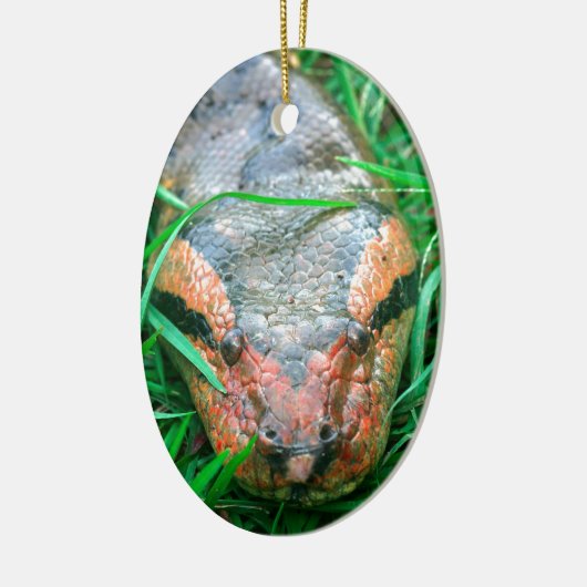 Anaconda snake keramisch ornament (Links)