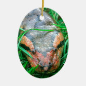 Anaconda snake keramisch ornament (Voorkant)