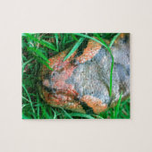 Anaconda snake legpuzzel (Horizontaal)