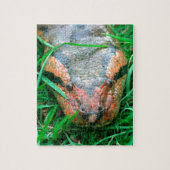 Anaconda snake legpuzzel (Verticaal)