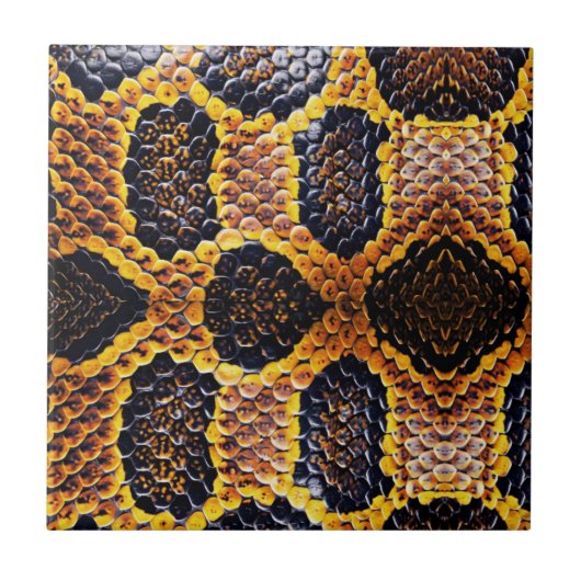 Anaconda Snake Skin Print Tegeltje (Voorkant)