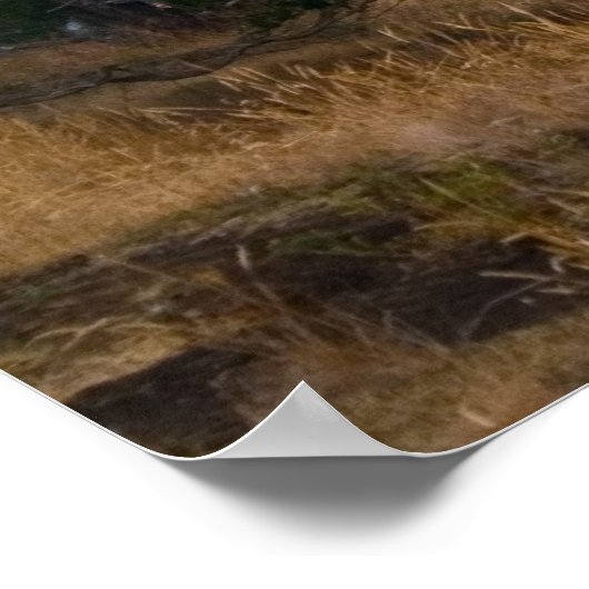 Anacortes Washington Print (Hoek)