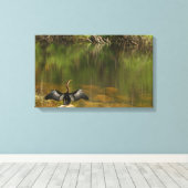 Anahinga in de Everglades Canvas Afdruk (Insitu (Houten vloer))
