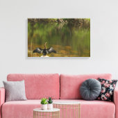 Anahinga in de Everglades Canvas Afdruk (Insitu (Woonkamer))