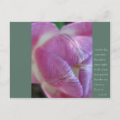 Anais Nin Quote Briefkaart (Voorkant)