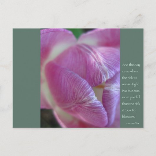 Anais Nin Quote Briefkaart (Voorkant)