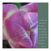 Anais Nin Quote Poster