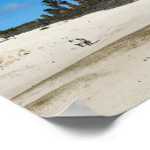 Anakena, Rapa Nui, Paaseiland, Chili Poster (Hoek)