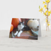 Anakin Twee Benige Kat & Pompoenen Herfst Kat Kaar Kaart (Gele Bloem)