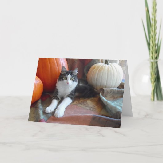 Anakin Twee Benige Kat & Pompoenen Herfst Kat Kaar Kaart (Voorkant)