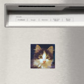 Anakin Twee Legged Kat, Leuke Kitten Vierkante Mag Magneet (Insitu (Vaatwasser))