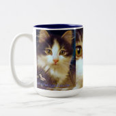 Anakin Two Legged Cat, Cute Kitten Mok, Sluiten Tweekleurige Koffiemok (Links)