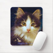 Anakin Two Legged Cat Cute Kitten Mousepad Close-u Muismat (Met muis)