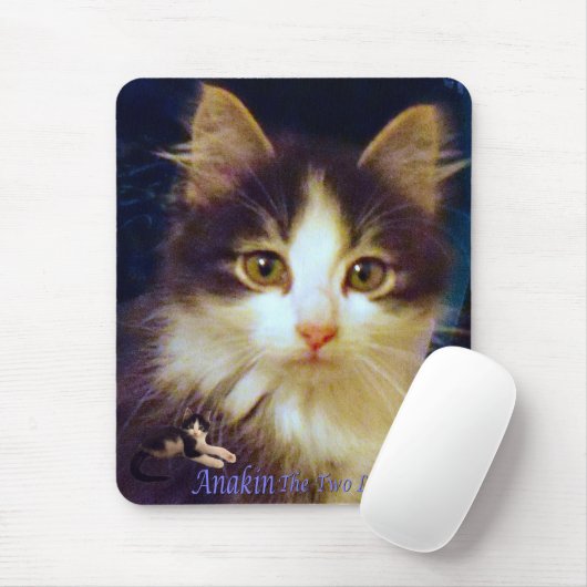 Anakin Two Legged Cat Cute Kitten Mousepad Close-u Muismat (Met muis)