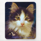 Anakin Two Legged Cat Cute Kitten Mousepad Close-u Muismat (Voorkant)