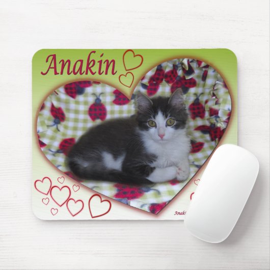 Anakin Two Legged Cat Ladybug Heart KittyMousepad Muismat (Met muis)