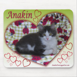 Anakin Two Legged Cat Ladybug Heart KittyMousepad Muismat