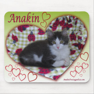 Anakin Two Legged Cat Ladybug Heart KittyMousepad Muismat