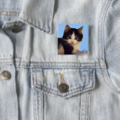 Anakin Two Legged Cat Logo, Cute Kitten Button (In situ)