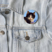 Anakin Two Legged Cat Logo, Cute Kitten Button (In situ)