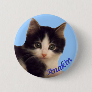 Anakin Two Legged Cat Logo, Cute Kitten Button