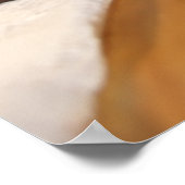  analoge camera in leder bruin hoesje poster (Hoek)