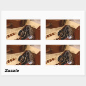  analoge camera in leder bruin hoesje rechthoekige sticker (Vel)