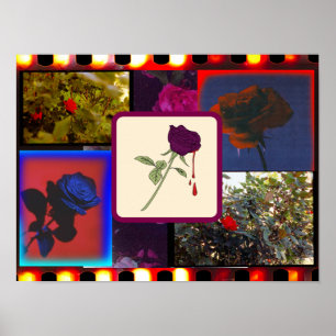  analoge film Roos collage Poster