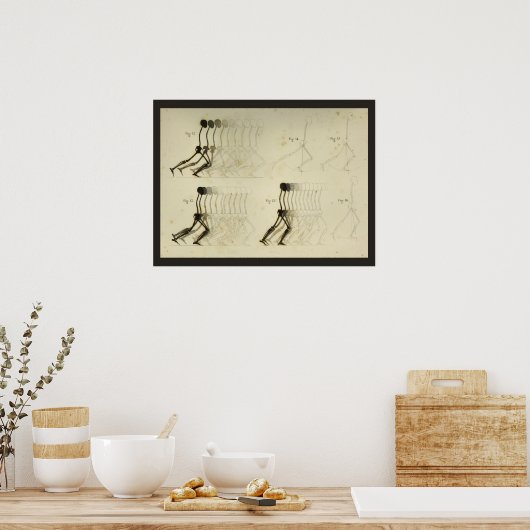 Analyse Beenruggengraatgrafiek Poster (Keuken)