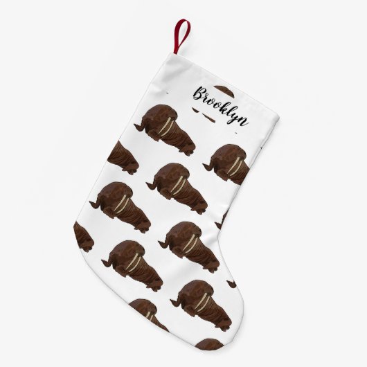 Analyse Walrus cartoon Kleine Kerstsok (Voorkant (Hangend))