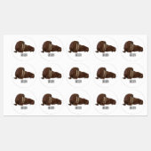 Analyse Walrus cartoon Labels (Vel)
