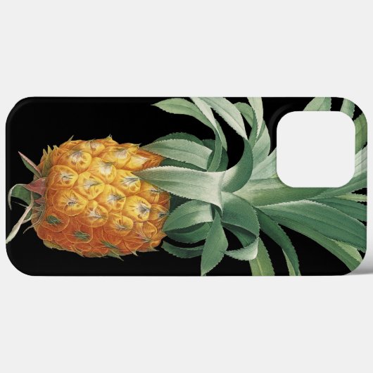  anananas tropisch botanisch Case-Mate iPhone case (Achterkant (horizontaal))