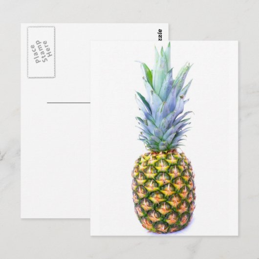 anananasappelmoerdessert kleurrijk tropisch briefkaart (Voorkant / Achterkant)