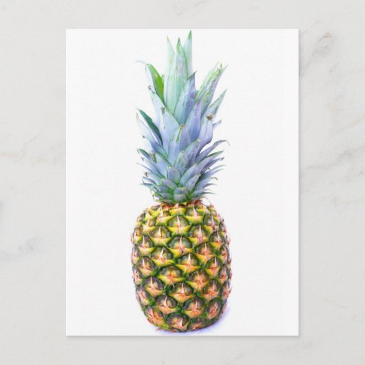 anananasappelmoerdessert kleurrijk tropisch briefkaart (Voorkant)