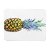 anananasappelmoerdessert kleurrijk tropisch magneet (Horizontaal)