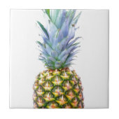 anananasappelmoerdessert kleurrijk tropisch tegeltje (Voorkant)