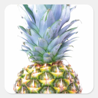 anananasappelmoerdessert kleurrijk tropisch vierkante sticker