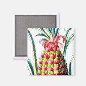 anananasappeltropische fruitillustratie magneet (Voorkant / Achterkant)