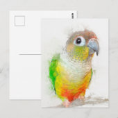 anananassegelportret briefkaart (Voorkant / Achterkant)