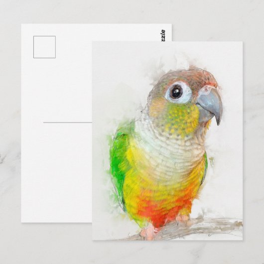 anananassegelportret briefkaart (Voorkant / Achterkant)