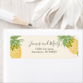  anananassen etiket (Insitu)