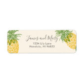  anananassen etiket (Voorkant)