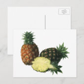  anananassen uit Hawaïti, biologisch fruit Briefkaart (Voorkant / Achterkant)
