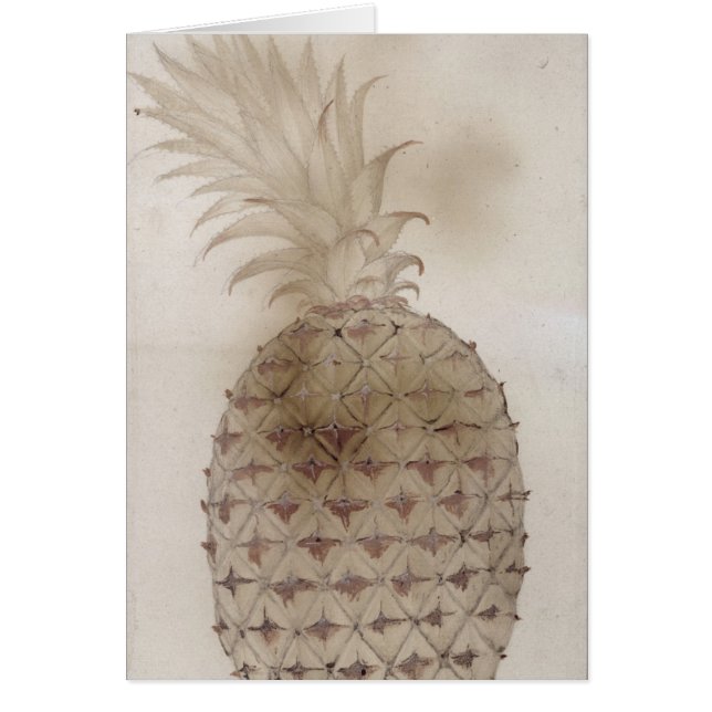 ananas, (Voorkant)