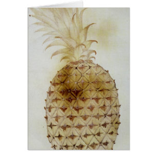 ananas