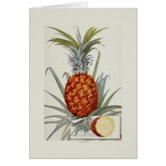 ananas
