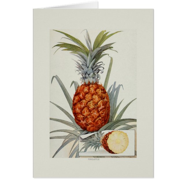 ananas (Voorkant)